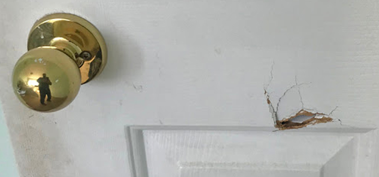 interior door hole repair Loma Linda